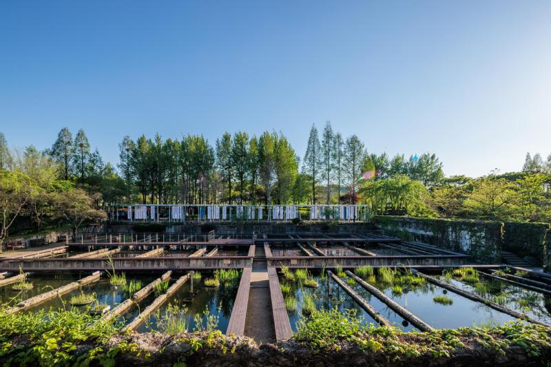 그림자 아카이브