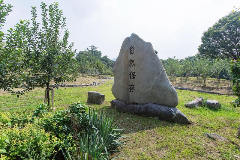 자연보존기념비