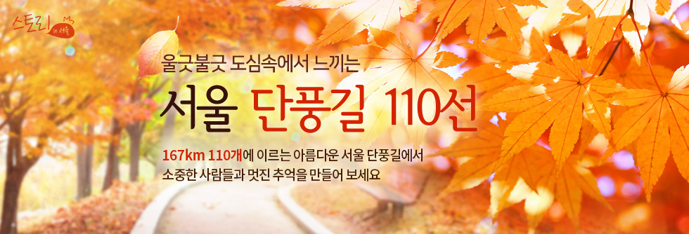 울긋불긋 도심속에서 느끼는 서울 단풍길 110선