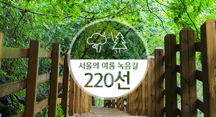 서울의 여름 녹음길 220선
