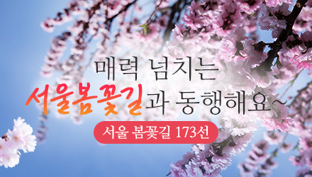 서울 봄꽃길 173선