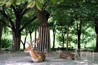 서울숲 공원