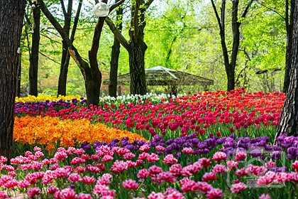 서울숲 봄나들이