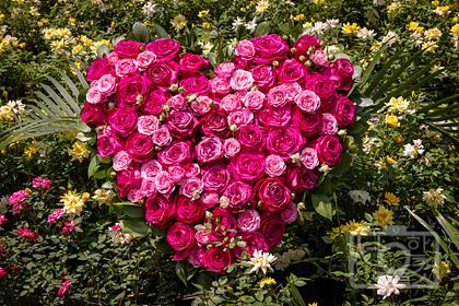 2025 서울국제정원박람회