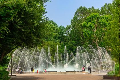 어린이대공원 음악분수