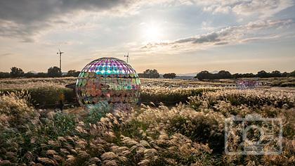 제24회 서울억새축제