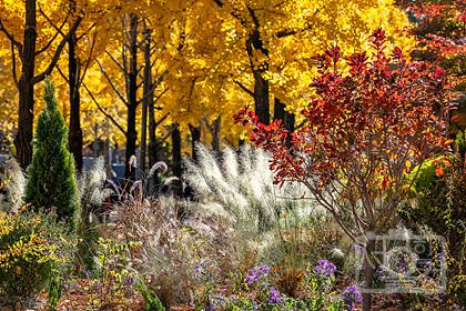 서울숲 가을풍경